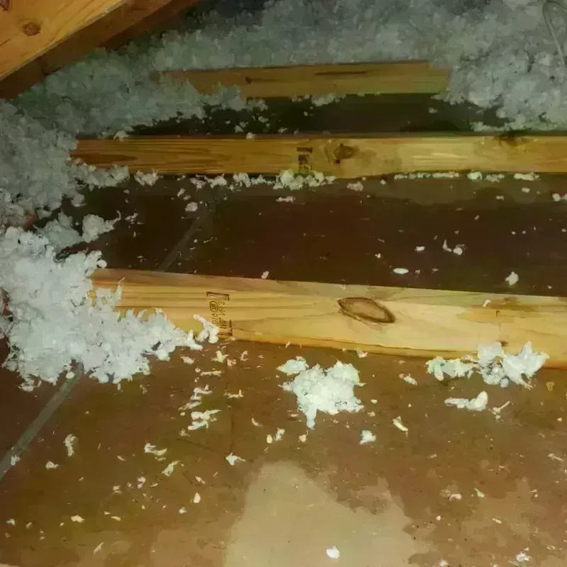 Attic Water Damage in Bluffdale, UT